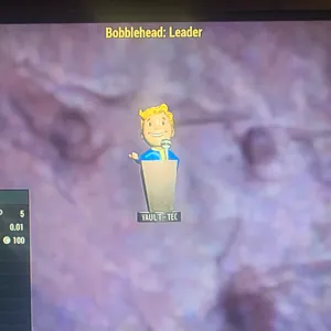 500x LEADER BOBBLEHEADS