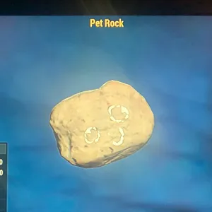 (CFT) PET ROCK