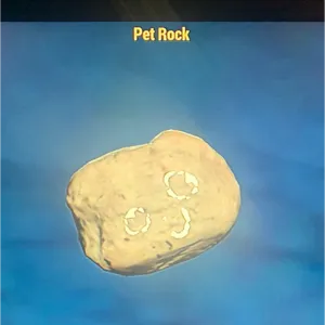 PET ROCK (CFT)