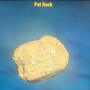 (CFT) PET ROCK