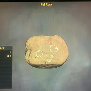 (CFT) PET ROCK