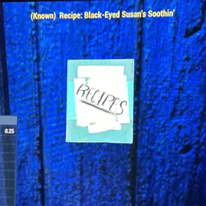 BLACK-EYED SUSAN’S