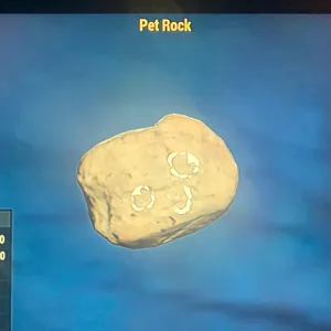 (CFT) PET ROCK