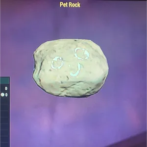 (CFT) PET ROCK