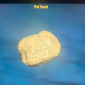 (CFT) PET ROCK