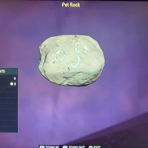 (CFT) PET ROCK