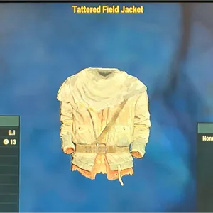 TATTERED FIELD JACKET