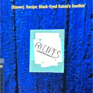 BLACK-EYED SUSAN’S