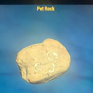 PET ROCK (CFT)