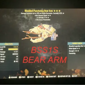 BSS1S BEAR ARM