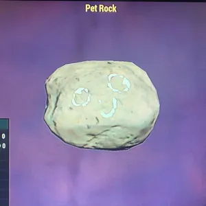 (CFT) PET ROCK