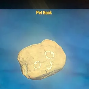 PET ROCK (CFT)