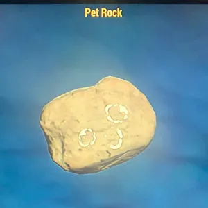 (CFT) PET ROCK