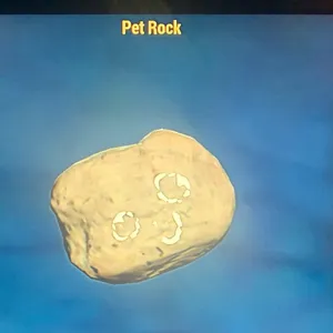 (CFT) PET ROCK