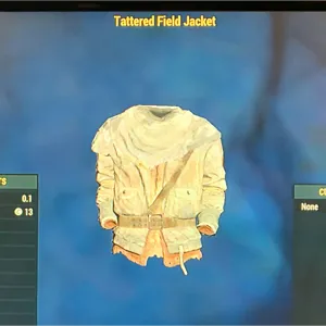 TATTERED FIELD JACKET