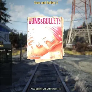 1000x GUNS & BULLETS 3