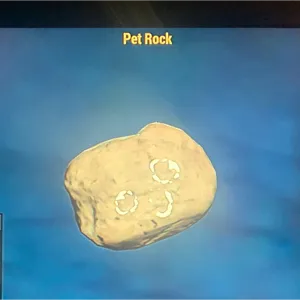 PET ROCK (CFT)