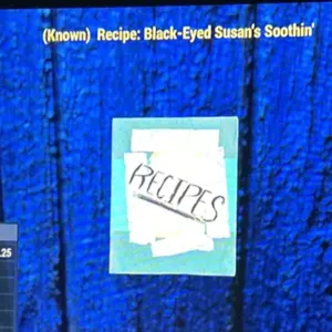 BLACK-EYED SUSAN’S