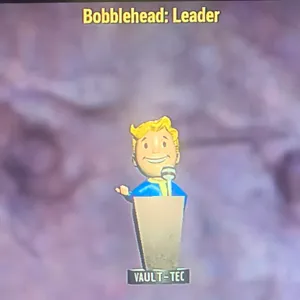 500x LEADER BOBBLEHEADS