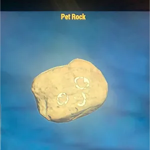 PET ROCK (CFT)