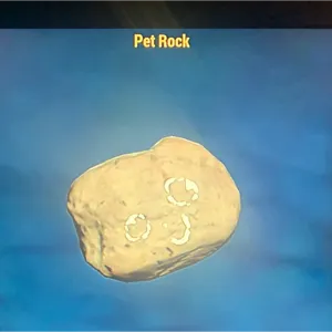 (CFT) PET ROCK
