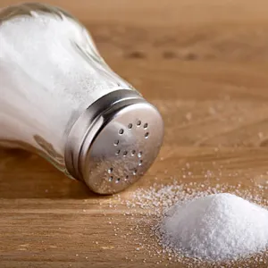 1000x SALT