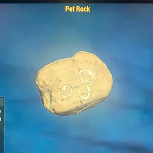 (CFT) PET ROCK