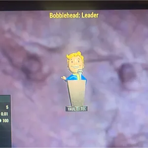 500x LEADER BOBBLEHEADS