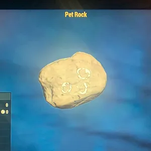 (CFT) PET ROCK