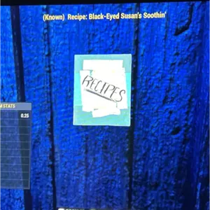 BLACK-EYED SUSAN’S