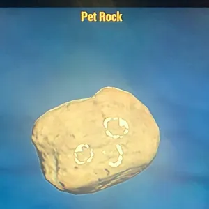 (CFT) PET ROCK