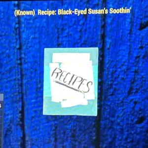 BLACK-EYED SUSAN’S