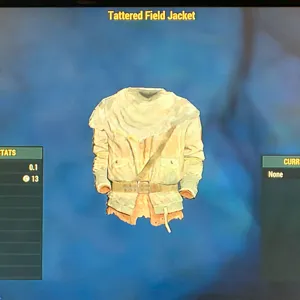 TATTERED FIELD JACKET