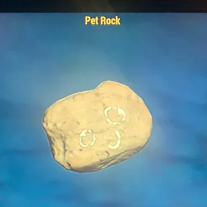 (CFT) PET ROCK