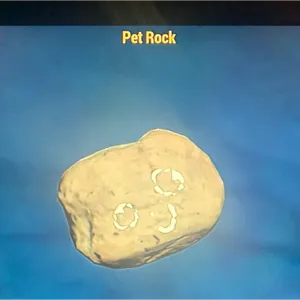 (CFT) PET ROCK