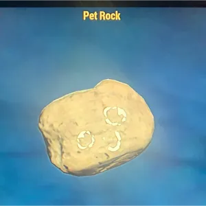 PET ROCK (CFT)