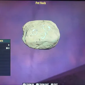 (CFT) PET ROCK