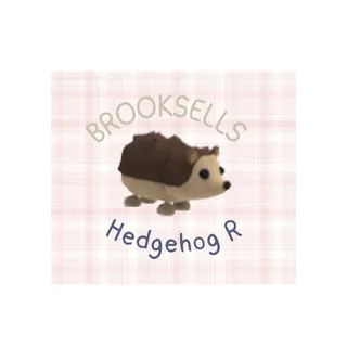 Hedgehog