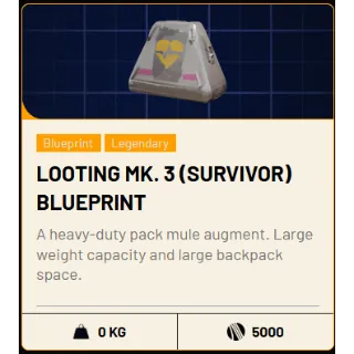 Looting MK3 (Survivor) Blueprint