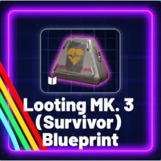 Looting MK3 (Survivor) Blueprint