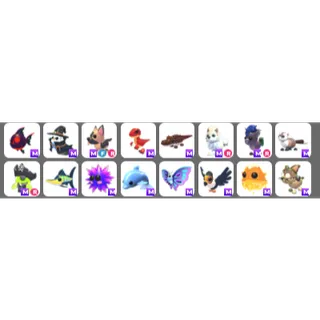 Megas!!!