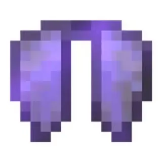DONUT SMP ELYTRA