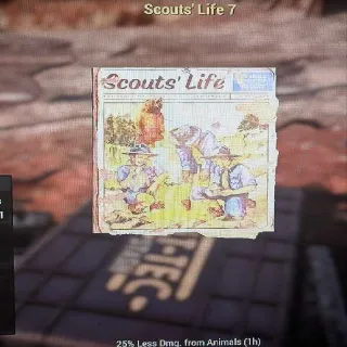 100 Scouts' Life 7