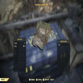 Traveling Leather Coat