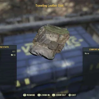 Traveling Leather Coat