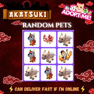 Adopt Me Pets Bundle