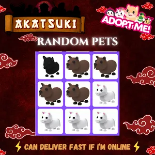 Adopt Me Pets Bundle