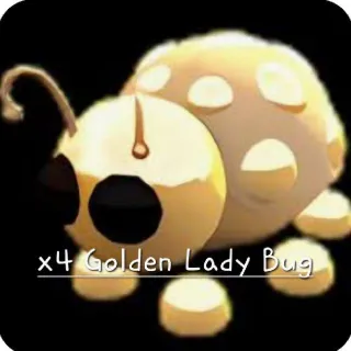 X4 Golden Ladybug