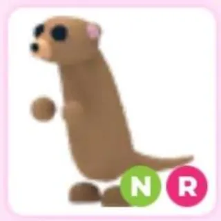 Neon R Meerkat