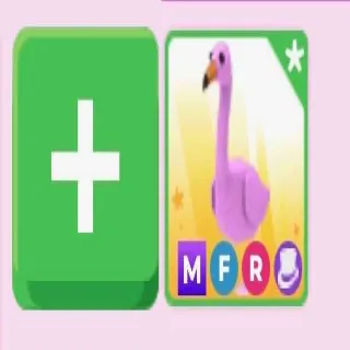 MFR FLAMINGO